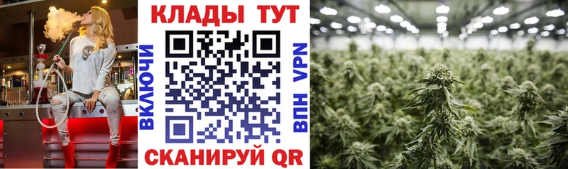 Купить наркотик Петушки МДМА Канабис Мефедрон ГАШИШ Alpha-PVP