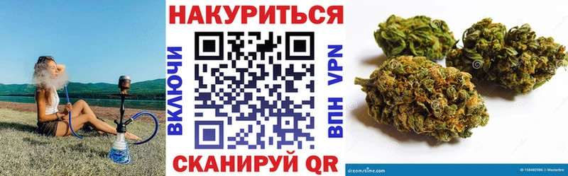 где можно купить наркотик  Петушки  МАРИХУАНА White Widow 